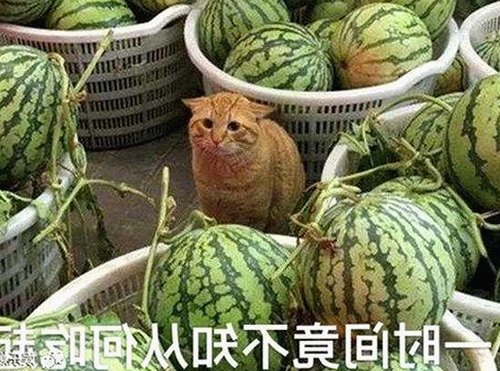 娱乐圈护肤新趋势曝光，明星吃瓜群体关注点转向养肤秘籍